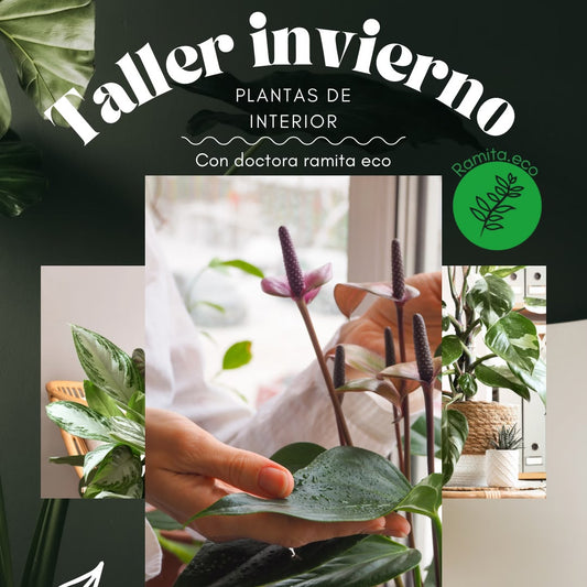 Sabiduria botánica - Experiencias de conexión a través de las plantas